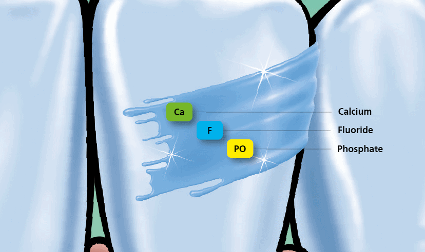 Minh họa các dưỡng chất bảo vệ răng khi bôi Fluor 